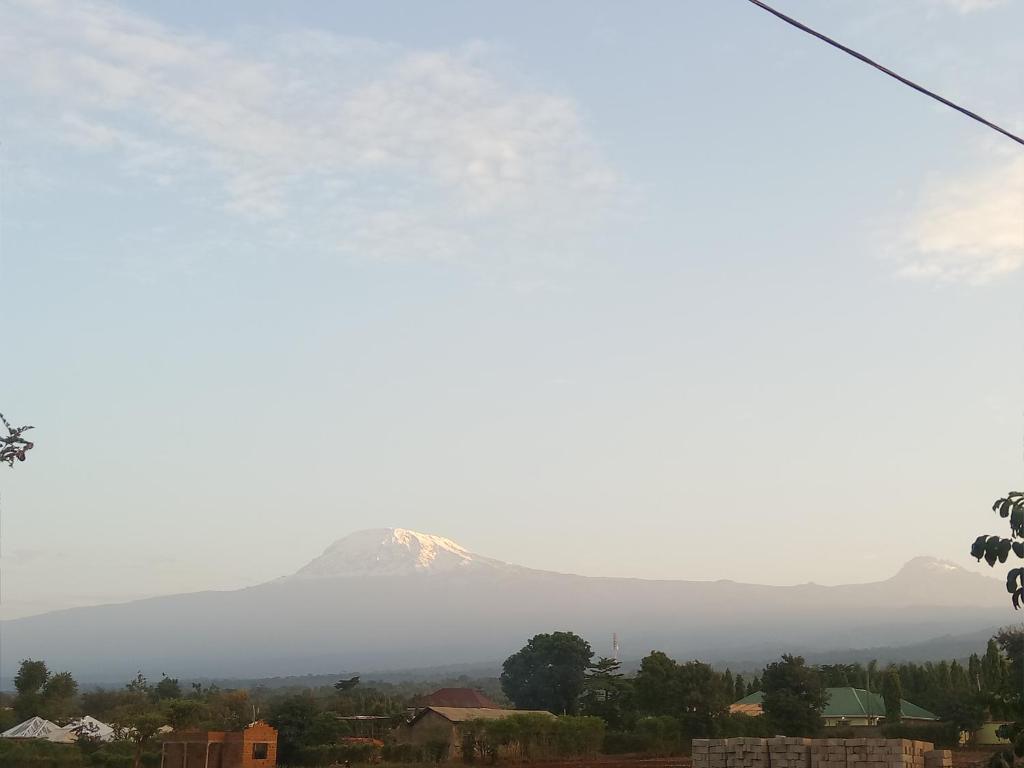 Honey Badger Lodge, Moshi