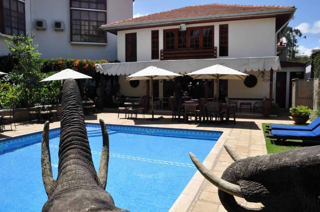 The African Tulip Hotel, Arusha.