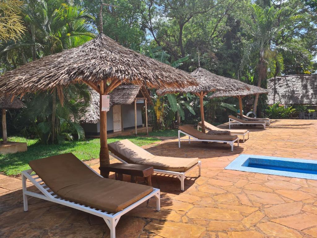Honey Badger Lodge, Moshi