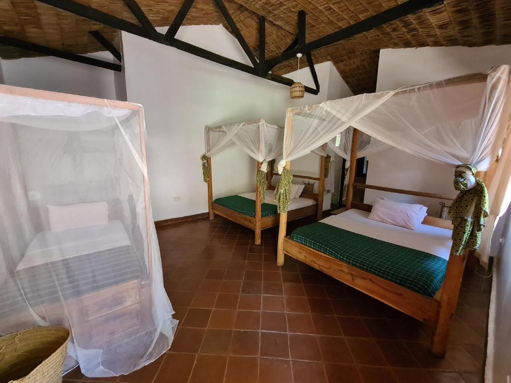 Honey Badger Lodge, Moshi