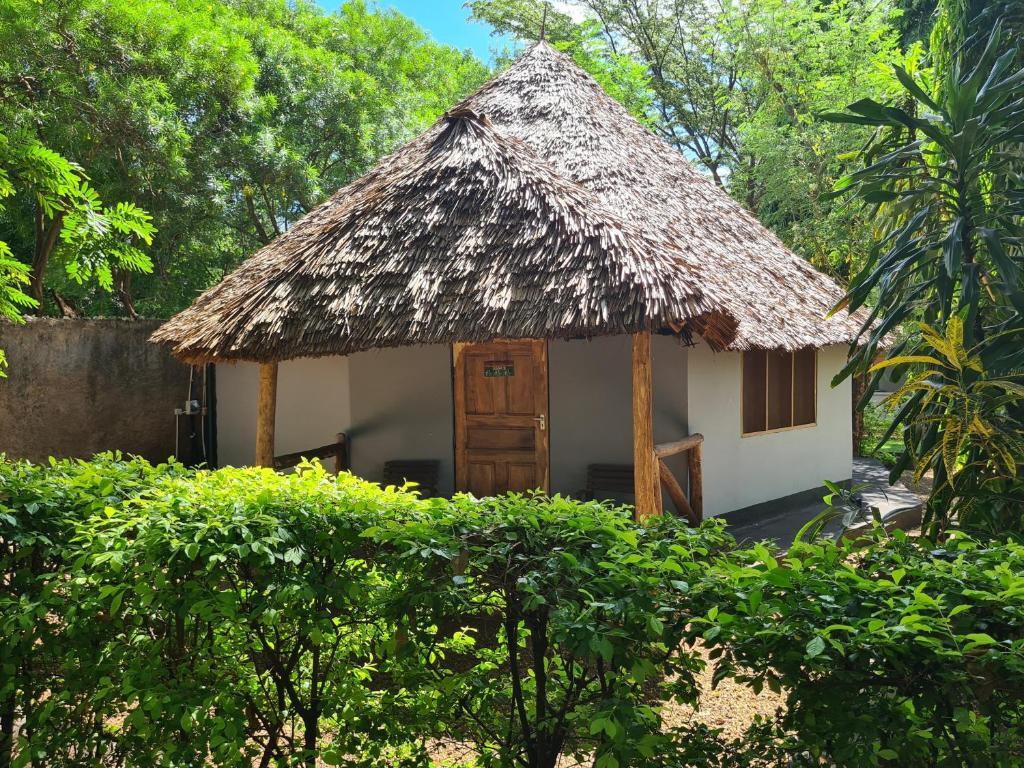 Honey Badger Lodge, Moshi