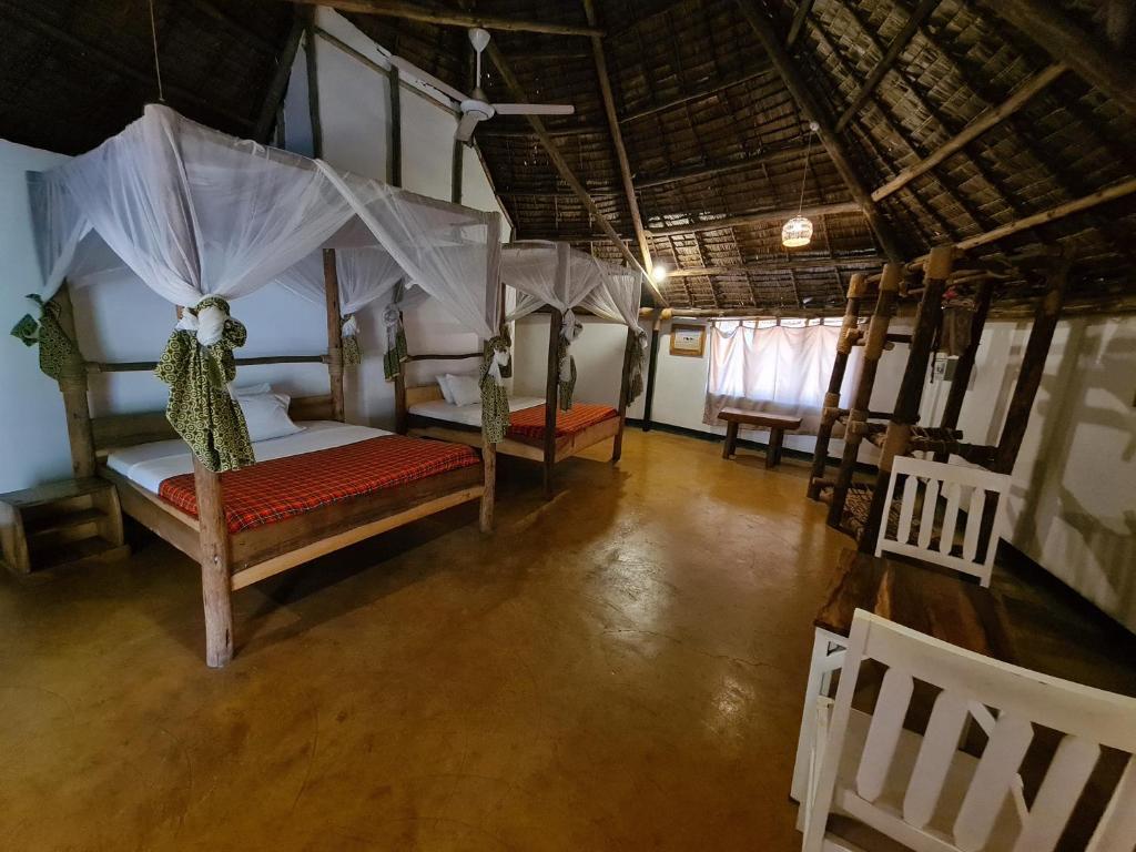 Honey Badger Lodge, Moshi