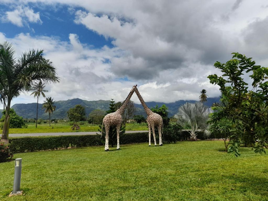 Cate Hotel, Morogoro.