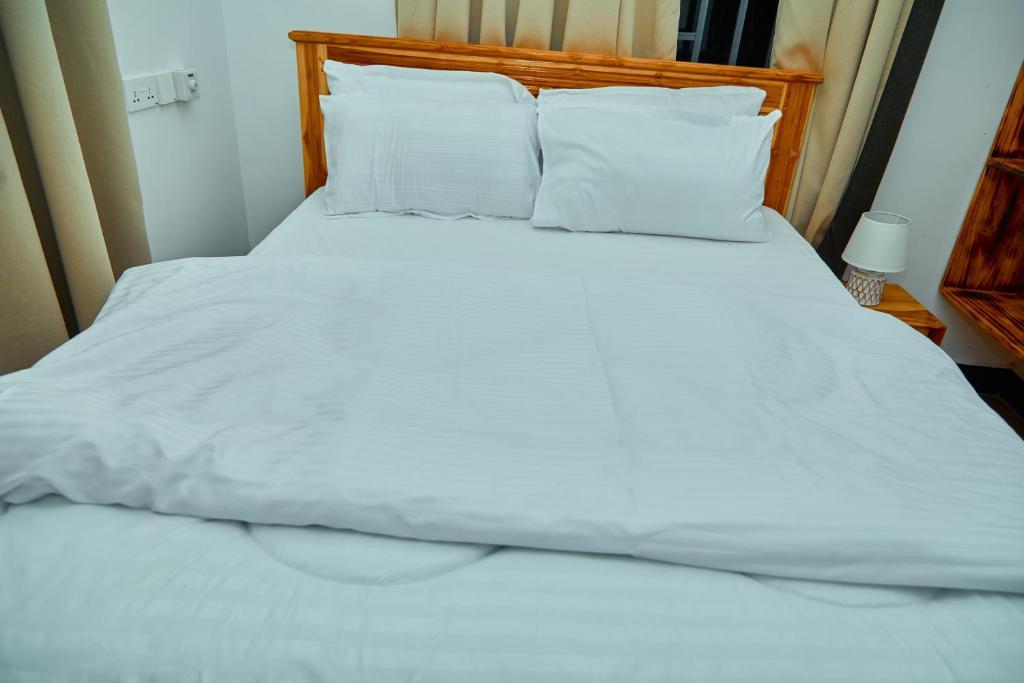 JMG Homes & Apartment, Dodoma