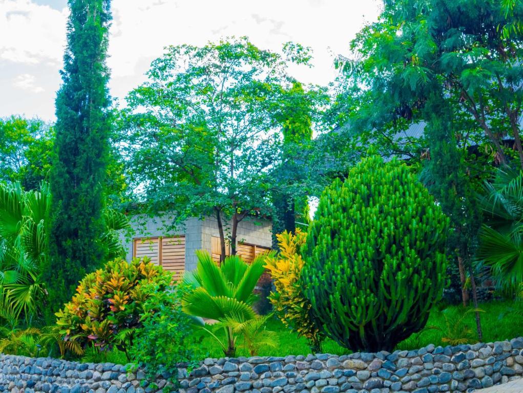 Breezy Lodge, Moshi