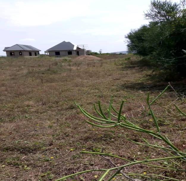 IPH: A Plot for Sale, Kisongo, Arusha.-3