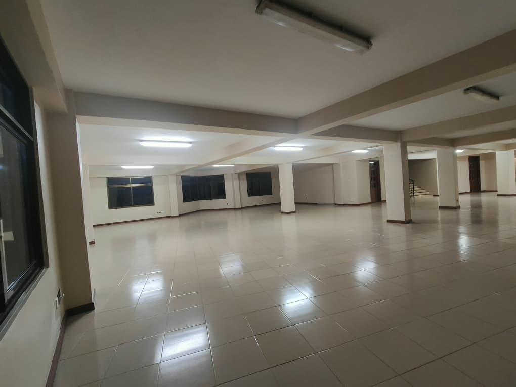 Impala Tower Space To Let, Arusha.