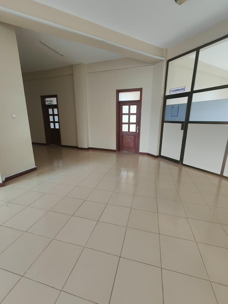 Impala Tower Space To Let, Arusha.