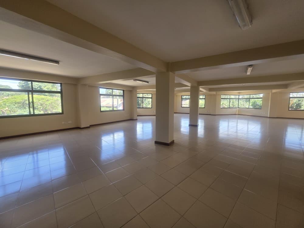 Impala Tower Space To Let, Arusha.