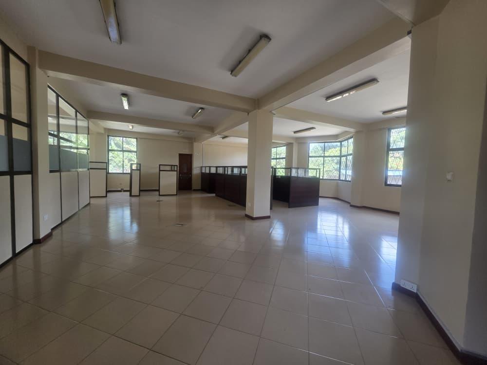 Impala Tower Space To Let, Arusha.