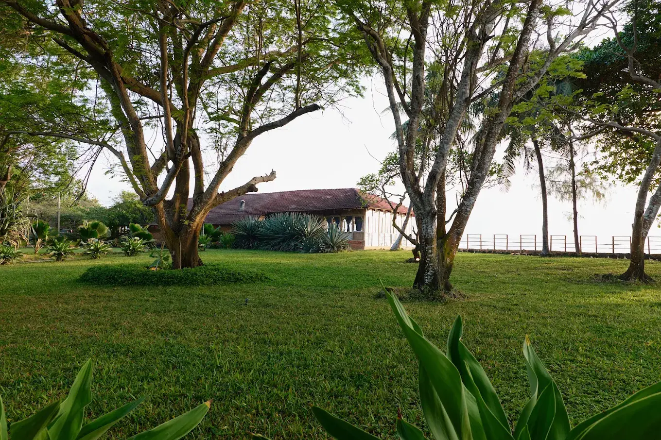 Mediterraneo Hotel, Dar es Salaam
