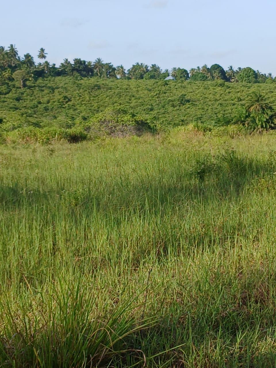 A Prime 70-Acre Plot for Sale at Mkuranga.