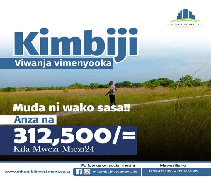 Mkumbi Investment Company Limited-4