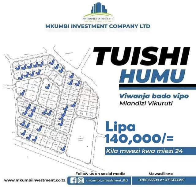 Mkumbi Investment Company Limited-6