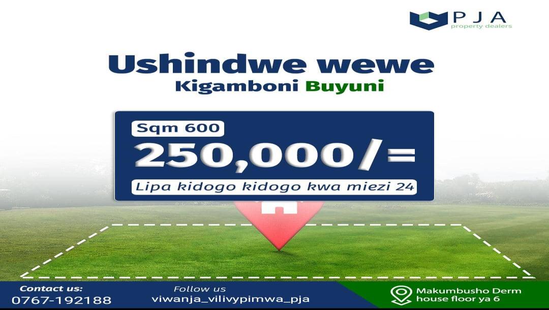 PJA Dealers: Tunauza Viwanja - Buyuni Kigamboni.-2