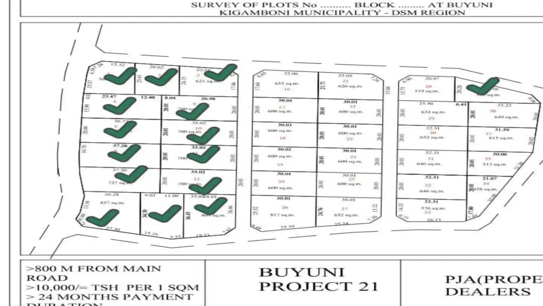 PJA Dealers: Tunauza Viwanja - Buyuni Kigamboni.-3