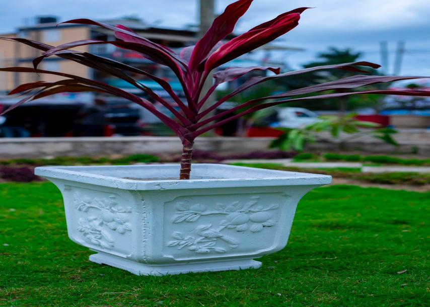 SOFCO: Elegant Concrete Flowerpots for Sale.-5