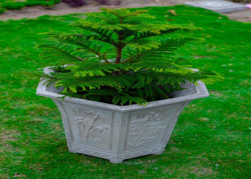 SOFCO: Elegant Concrete Flowerpots for Sale.-10